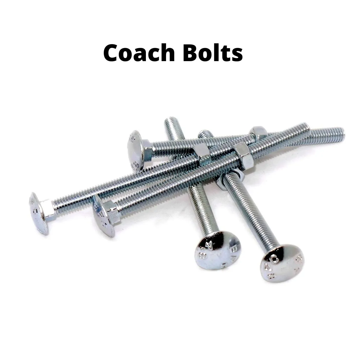coach bolts